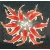 飞红绣坊品牌logo