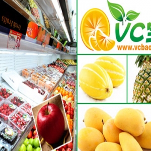 vc宝水果连锁品牌logo