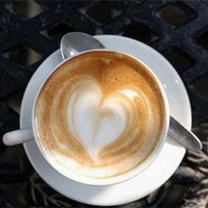 莫丽咖啡品牌logo