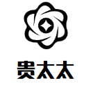 贵太太品质洗衣工厂品牌logo