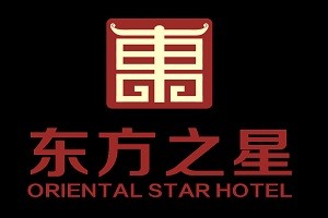 东方之星品牌logo