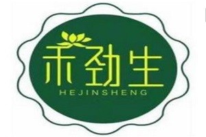 禾劲生梳疗养发馆品牌logo