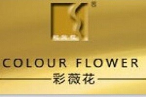 彩薇花化妆品品牌logo