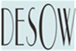迪诗秀化妆品品牌logo