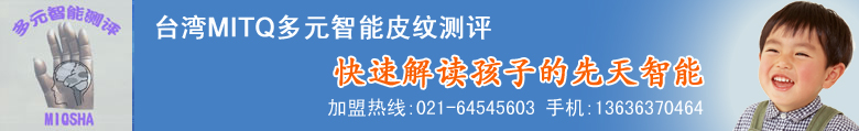 皮纹检测台灣MITQ多元智能