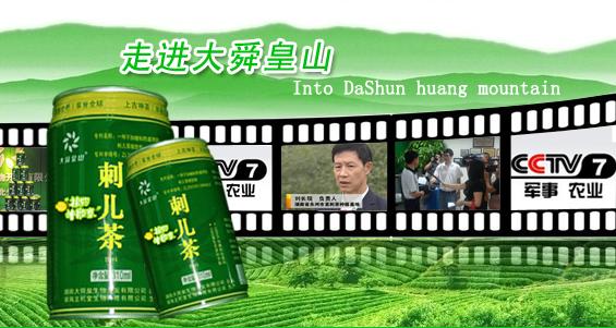 大舜皇山 大舜皇山