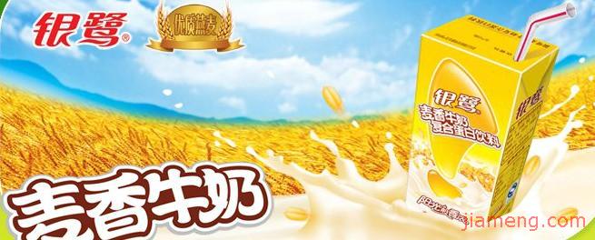 银鹭 银鹭