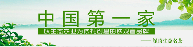 绿腾茶中国茶