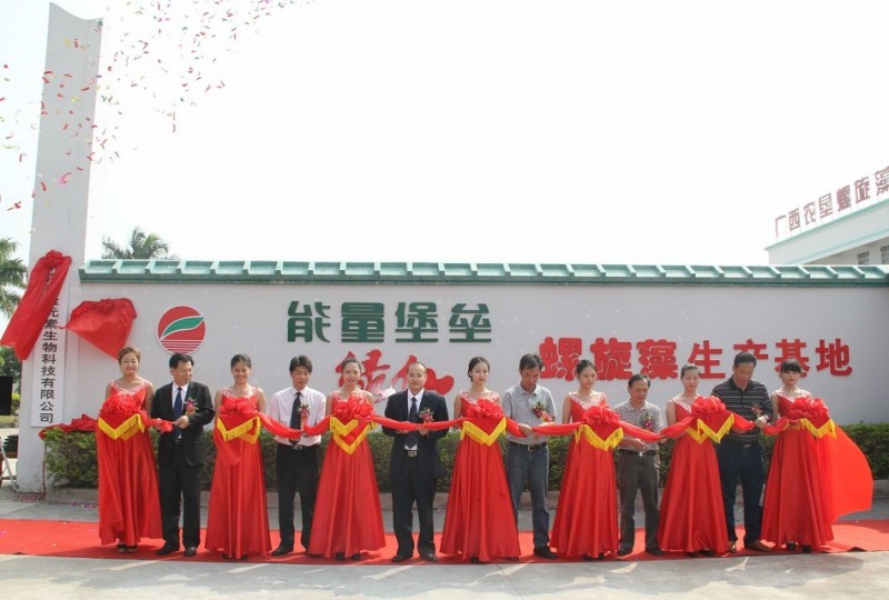 绿仙携手微量元素 欲打造行业最大螺旋藻基地