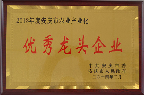 缘酒集团安徽陈瑶湖黄酒有限公司荣获农业产业化优秀龙头企业
