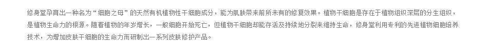 张玉珊修身堂 张玉珊修身堂
