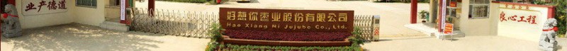 好想你枣业 好想你枣业