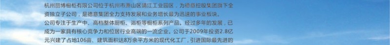 德意·丽博橱柜 德意·丽博橱柜
