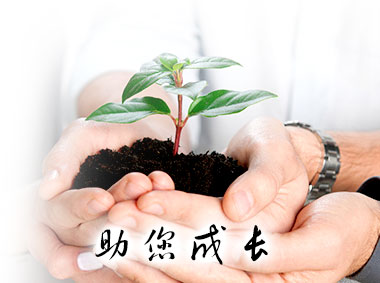 梦洁家纺