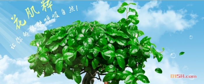 花肌粹产品8158