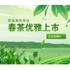 茗家真传茶业