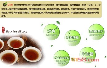 泾渭茯茶具有多种功效