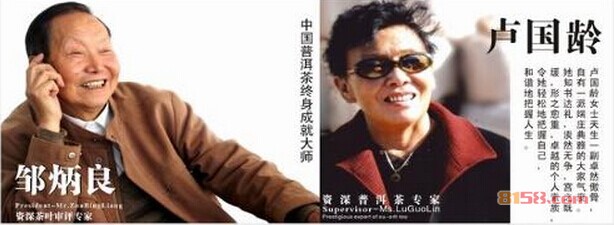 老同志普洱茶 老同志普洱茶