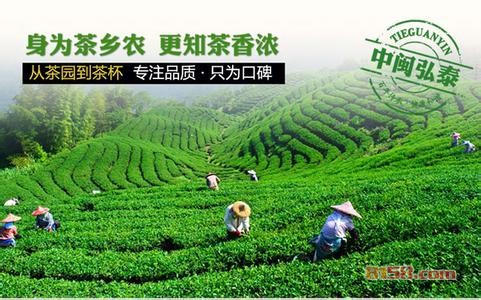 中闽弘泰茶叶