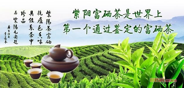 紫阳富硒茶加盟品牌