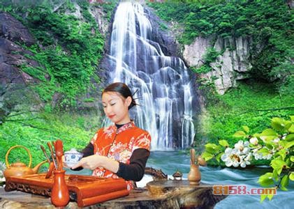 黄山毛峰冲泡方法