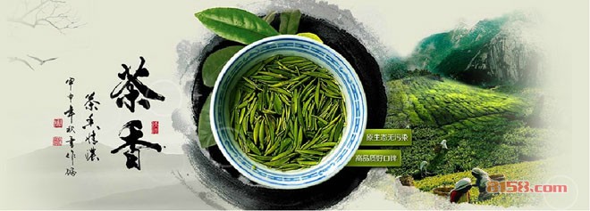 贵州都匀毛尖茶加盟
