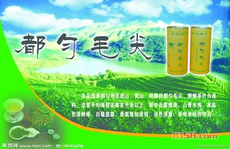 都匀毛尖简介