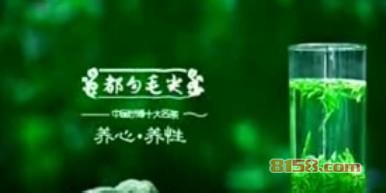 都匀毛尖是什么茶