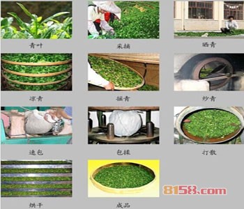 什么是绿茶|绿茶是什么茶