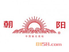 朝阳轮胎,轮胎加盟十大排行榜之一