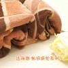 洁丽雅