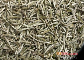 白茶是什么茶