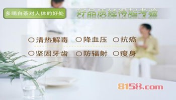白茶的功效与作用
