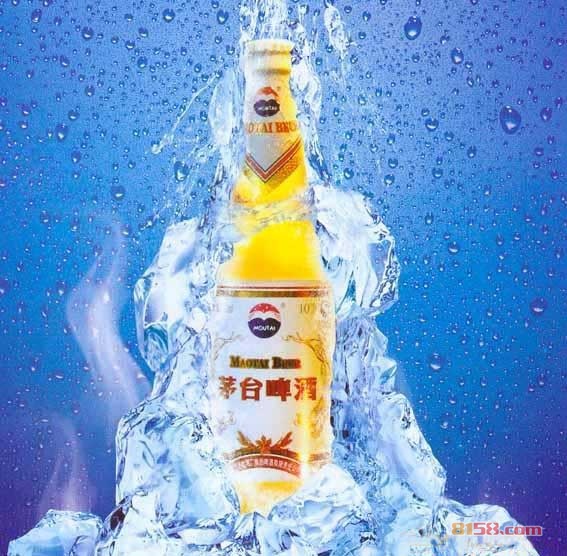 金星啤酒招聘最新信息