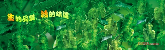 北京啤酒品牌
