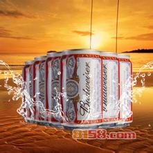 蕾哈娜百威啤酒价格