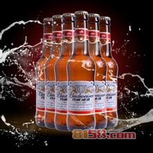 百威啤酒进口价格