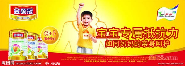 -金领冠奶粉
