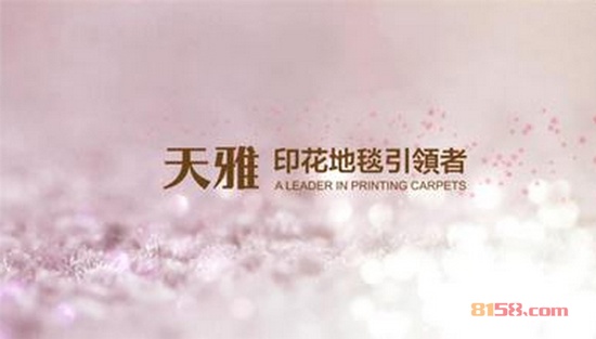 天雅地毯官网
