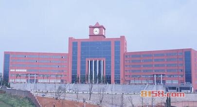 雷式教育