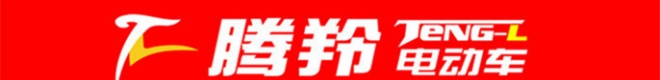 腾羚电动车品牌网址是什么？