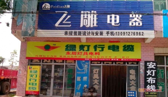 飞雕电器加盟