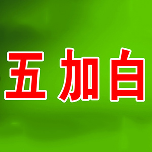 五加白保健酒品牌logo