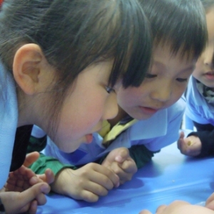 科学宝贝