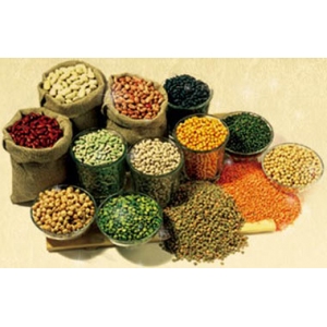 今磨房五谷养生