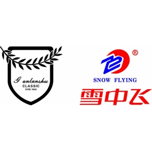 雪中飞的logo图片