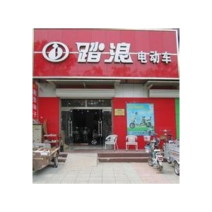 踏浪电动车