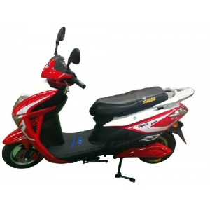 大陆鸽电动车
