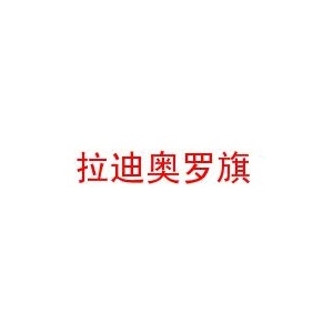 拉迪奥罗旗品牌logo