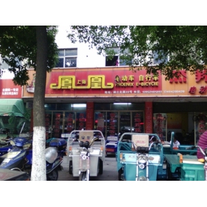 凤凰电动车